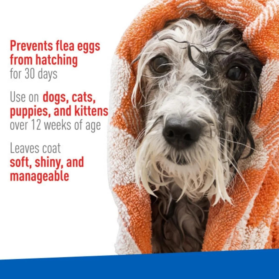 Flea Tick Cleansing Shampoo Clear, 1Ea/12 Oz